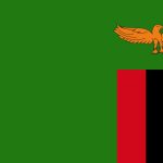 Zambia flag pattern background. Realistic national flag design. Abstract vector template.