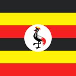 36699182_flags_133